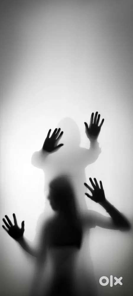 Contact for low priced graphic works.Online