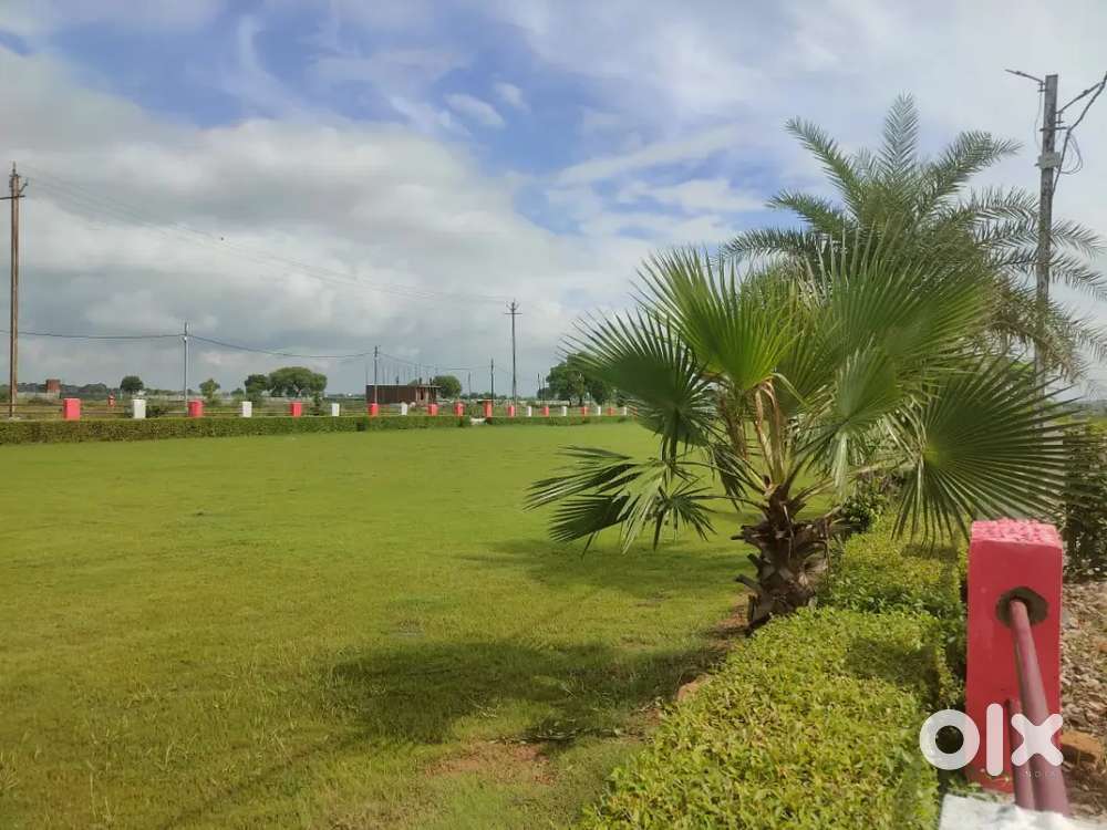 डीडी नगर के पास फॉर्म 4 कॉलोनी में 900 वर्ग फीट का प्लॉट