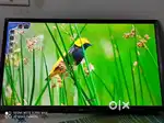 24''32''40''inch SMART LED TV 1 Year Company Warranty
