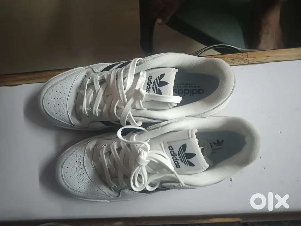 Addidas shoes