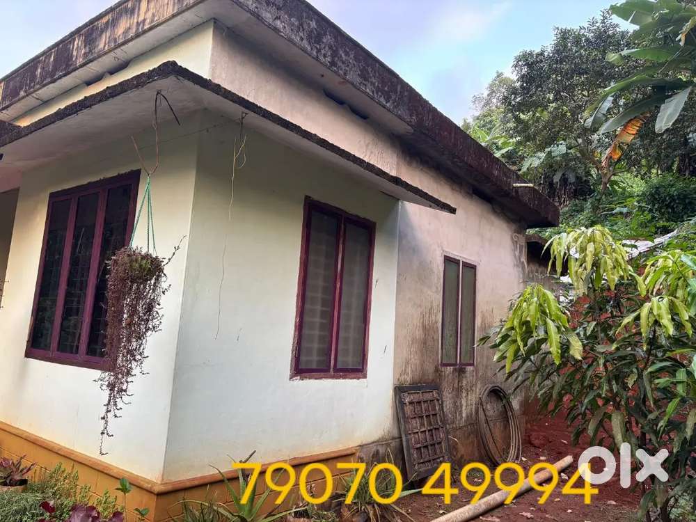 13 cents property with House for Sale In Cherupuzha