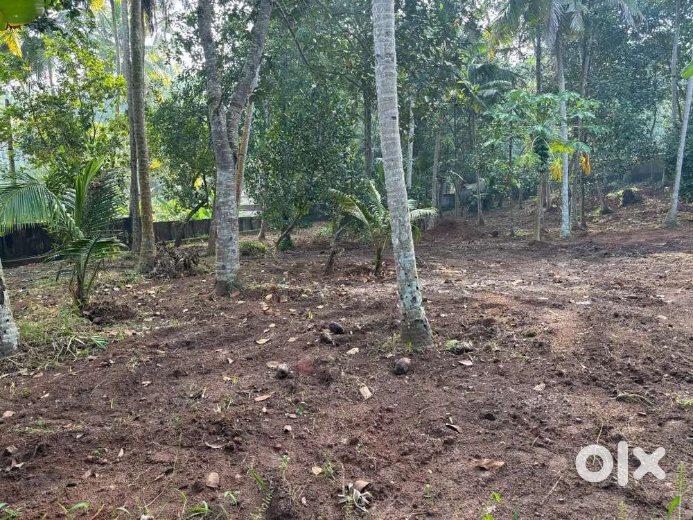 90 cent Prime Land for Sale in Vizhinjam
