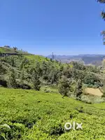 Ooty land sale