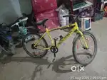 New caycal