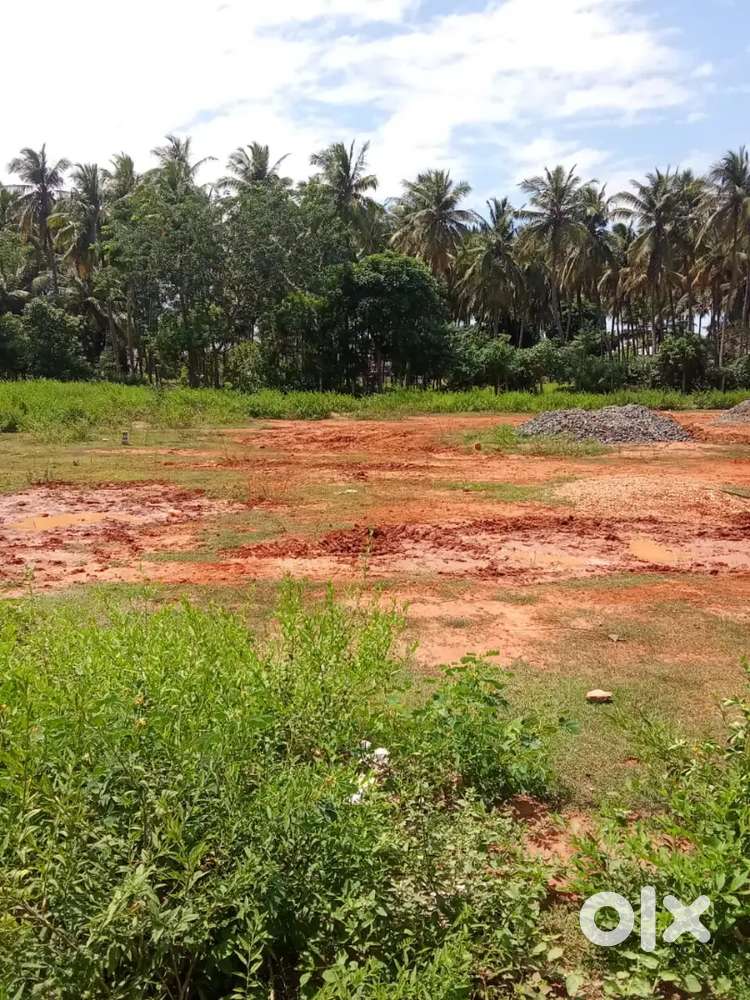 Residential Plot for Sale in Annai Meena Nagar, Mariyamman Kovil, Tnj.
