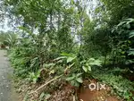 Puthuppally - Meenadam - 18 Cent House Plot For Sale