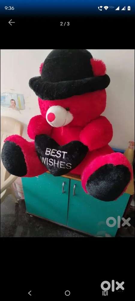 Big Teddy bear