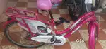 Ladies cycle