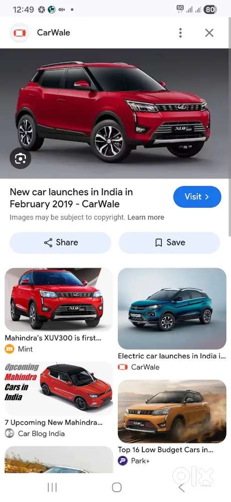 Professional driver job wanted