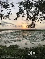 Plot for sale