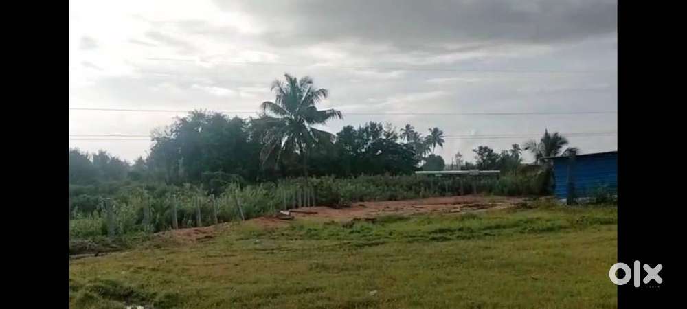 1.70 Acre Prime land for sale at Inamkothuru, Chittoor