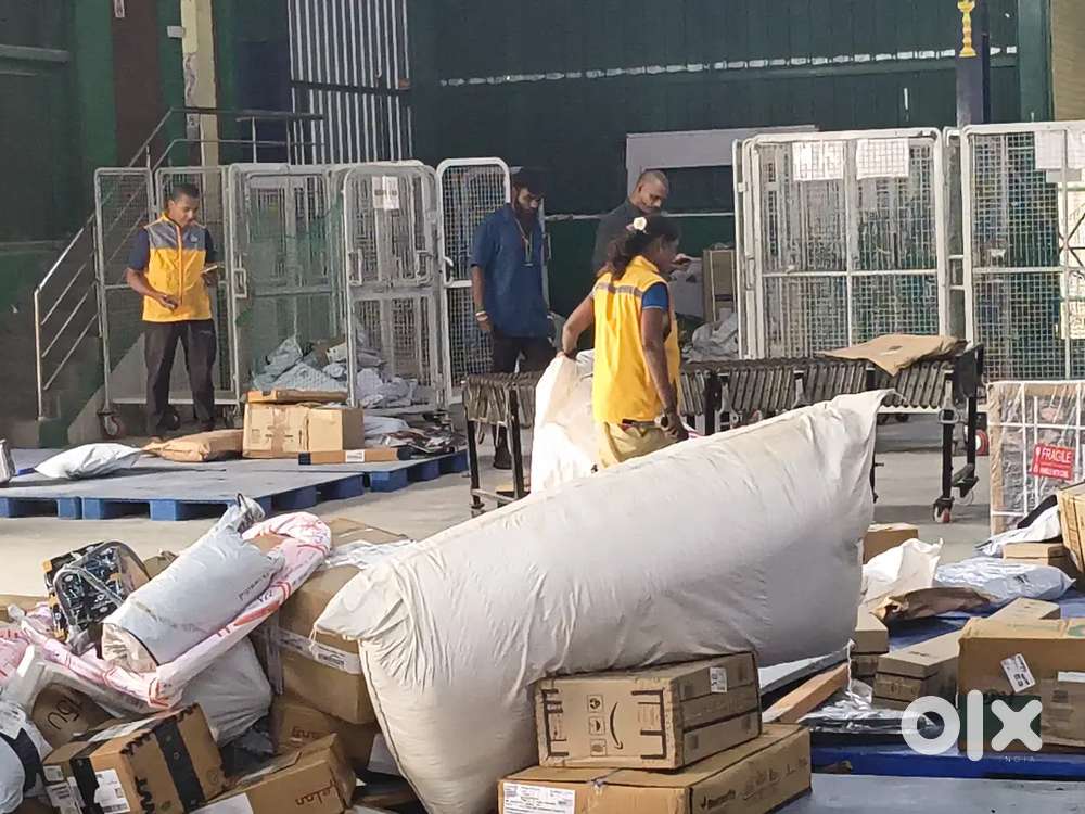 Need Office staffs for delivery company.