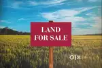 Land for Sale near Na-Aati Naamghar Deurigaon to Parbatia Road