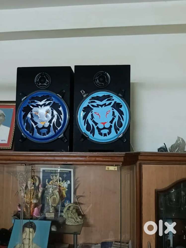 150 watt one, 300 wath amplifier, 10inch speaker ,twriter