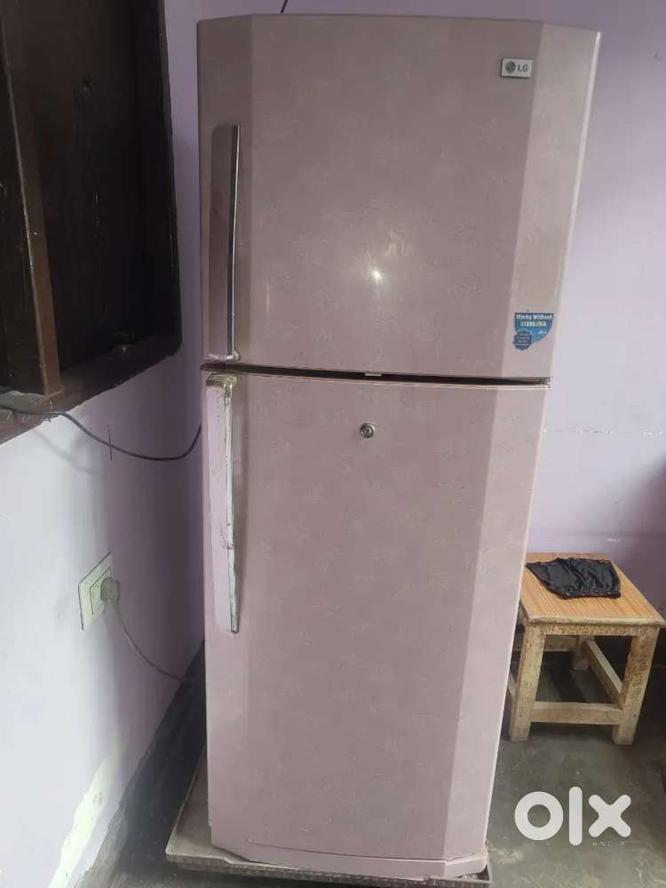 Dual door refrigerator