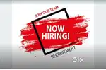 BANKS LOANS VERIFICATION FIELD EXECUTIVES REQUIRED ALL.OVER  PUNJAB
