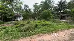 6 cent plot