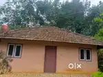 Ezhamchira, mamalakunnu