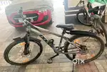 Dooge Cycle