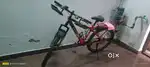 Hercules cycle with double disk break and