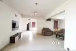 Shree Balaji Agora Residency Pent House For Sell