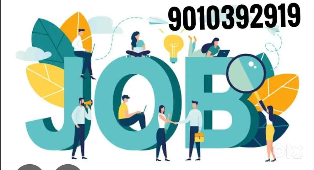 Accountent &Cad deginer&for hotel kitchen equipments relited