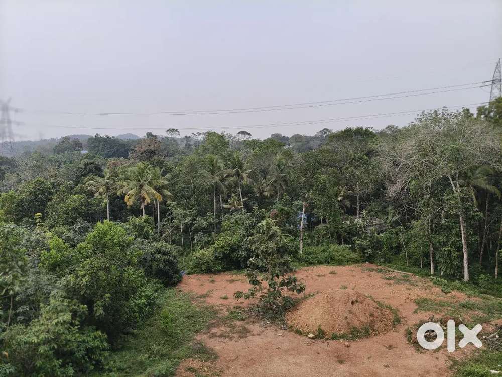 5 cent land 12.5Lakh