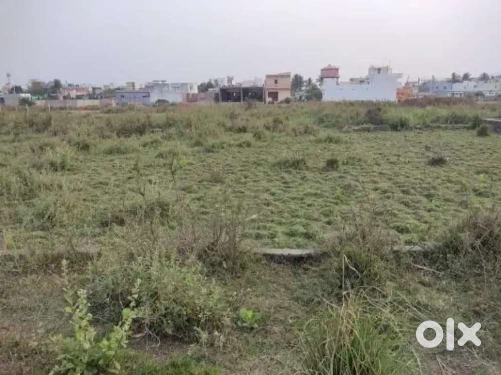 Urgent sale patta land somangalam Kundrathur near