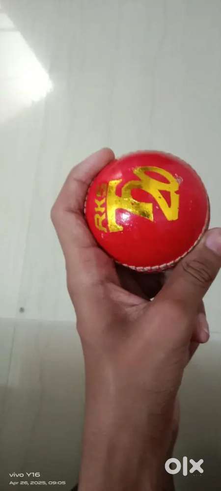 Cricket ball/season ball/leather ball