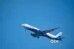 Huge opportunity for Airport Ground Staff Jobs in Indigo Airlines