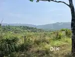 PILAKKAVU LAND FOR RESORT/VILLA PROJECT – 4 ACRE PLOT