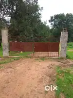 Agriculture land 10 acre near Manendragarh