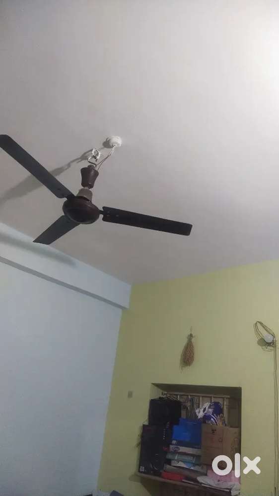 Only female,or family