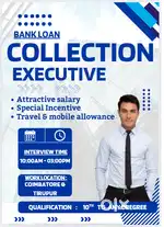 Collection Executive