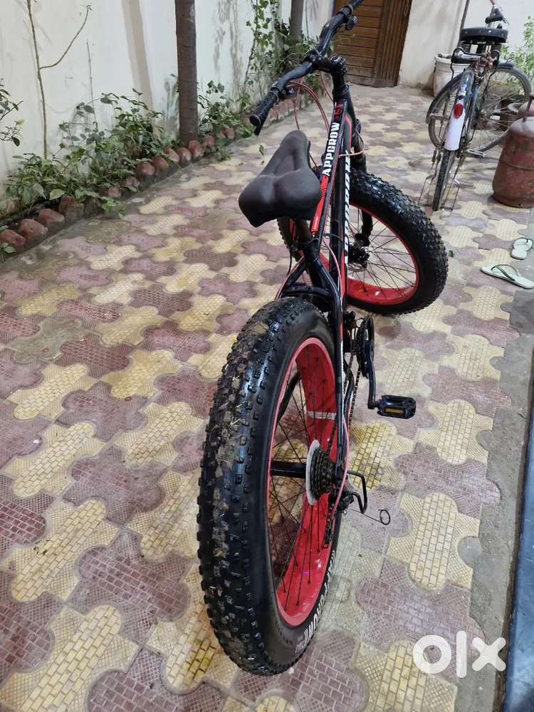 Appgrow fat bicycle