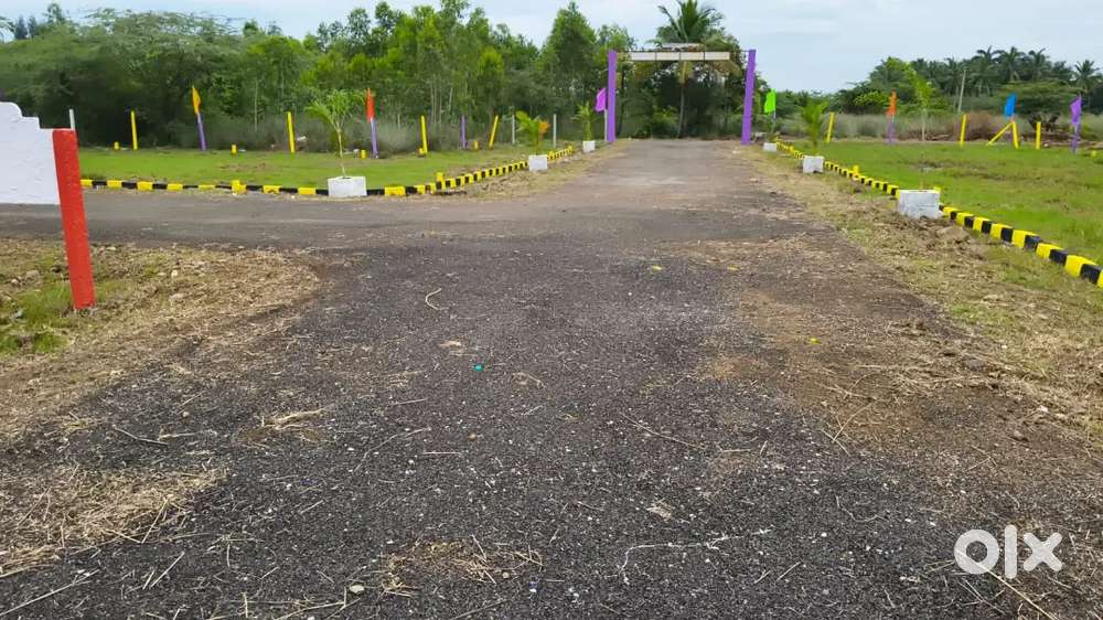 30 feet Road facing plot