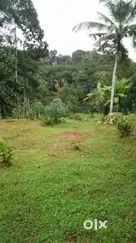 1 acre 64 cents with old house in vrindavanam