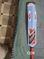 cricket bet