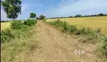 1 ஏக்கர் விவசாய நிலம் விற்பனைக்கு