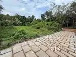11. 25 CENT PLOT (3 SIDE ROAD) FOR SALE NEAR  ERAVUCHIRA RC CHURCH