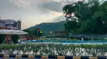 PLOTS IN TAMBARAM