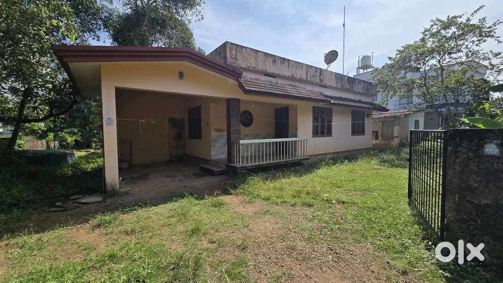 Nedumbassery near athani 3 bhk independent house for rent immediately