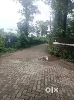 5.5 Acre Land for Sale – Suitable for Plotting Ponjassery,2.25 L/cent