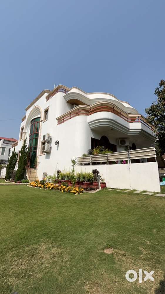 Need family male cook for home