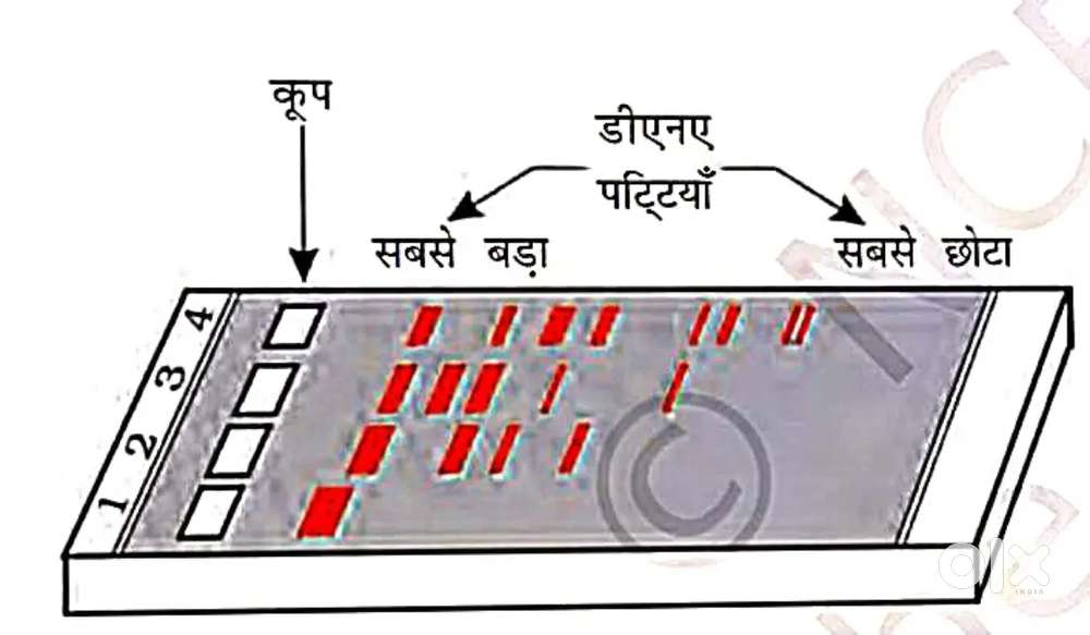 Home tution class 1-10 hindi medium