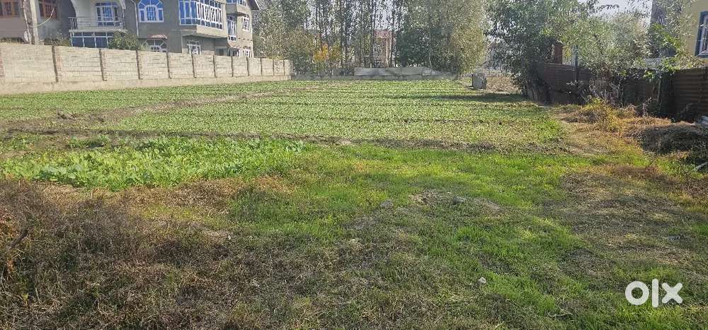 2.50 Kanal Land  on Rent 800 Meter Away Near Tengpora Bridge byepass