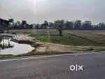 On road in goradih, bhagalpur,near Kotwali 8 lakh kattha