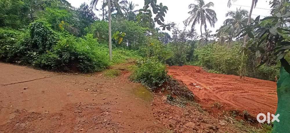 10-15 cent house plot for sale