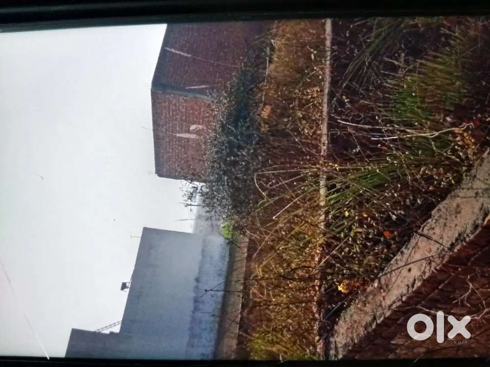 Near Tapri railway station