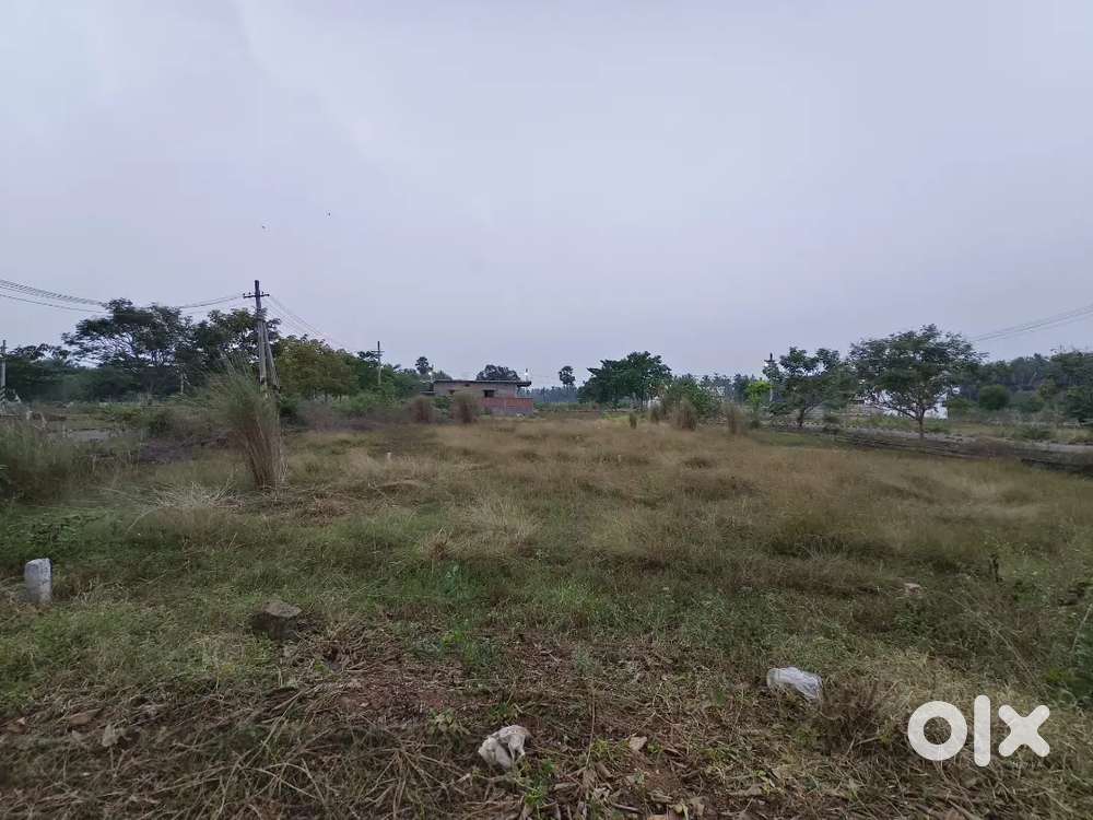 Plot for sale ,111 gajalu, pithapuram